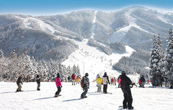 スキージャム勝山 (福井県)