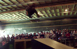 JASA SKATEBOARD スクール&デモンストレーションin『MAD Ollie 2013 powered by monster energy』@石巻Onepark MOVIE UP!!!